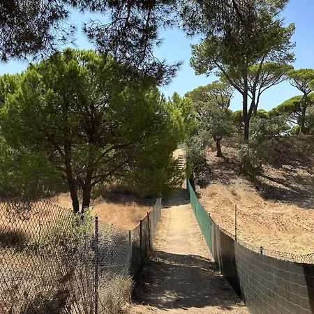 Pine Cliffs By Check-in Portugal Albufeira