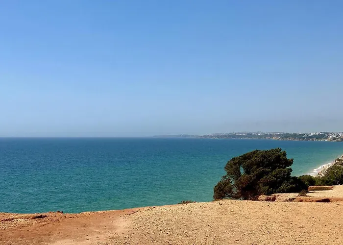 Pine Cliffs - Shared Pool - 8 Guests - *